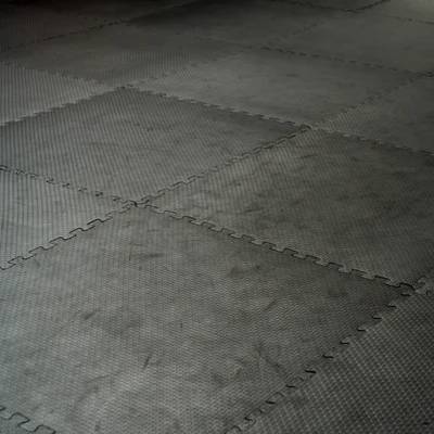 Interlocking Foam Gym Tiling 2x2