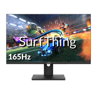 SurfThing D2424H